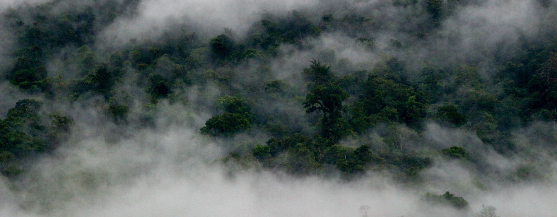 Image Colombian Project