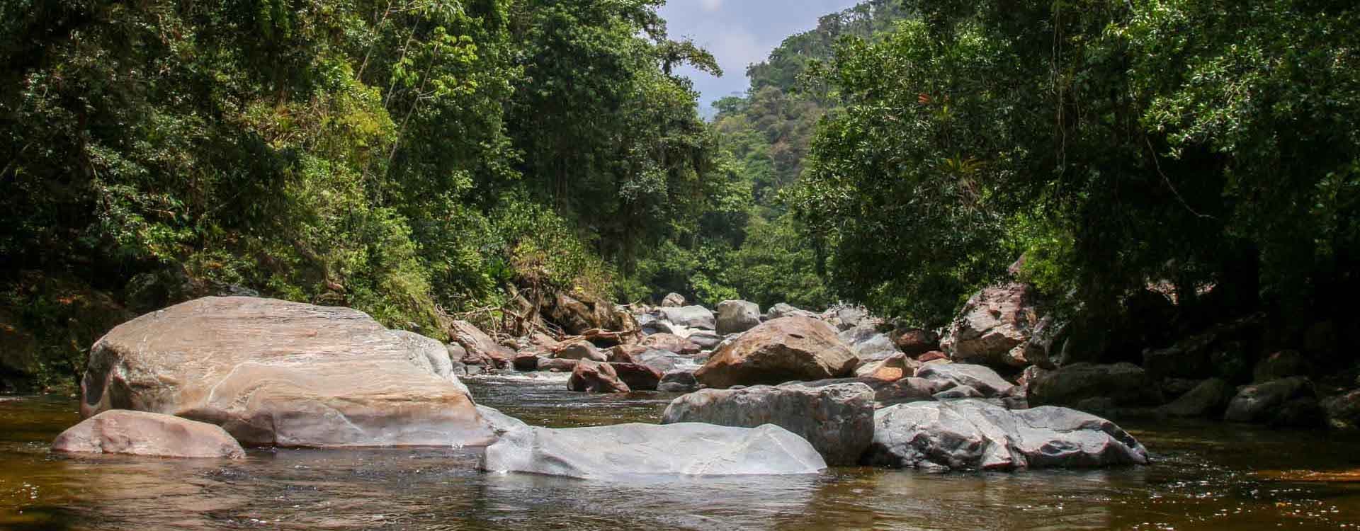 Image Colombian Project