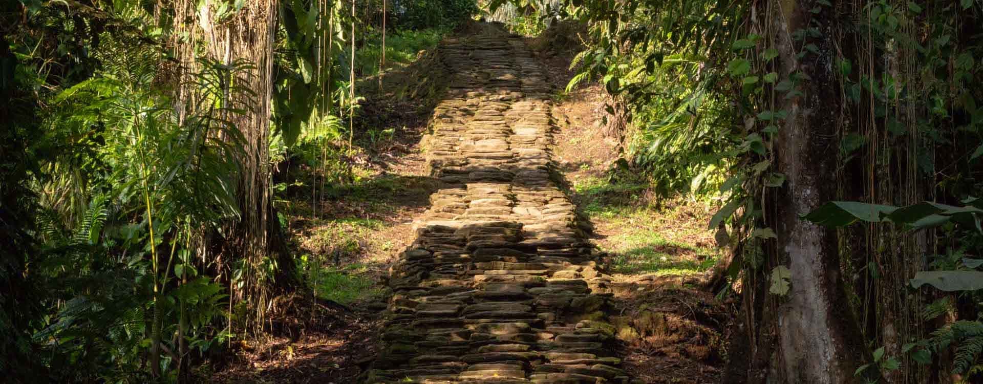 Image Colombian Project