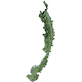 Pacific ecoregion